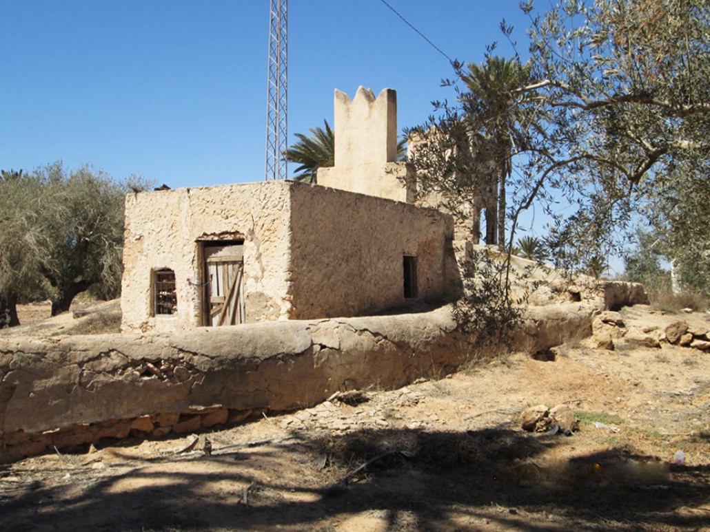 L’eau : Une ressource en péril à Djerba